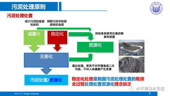 城市污水廠污泥處置工藝技術(shù)路線研究與軟件技術(shù)開(kāi)發(fā) — 以同濟(jì)戴曉虎團(tuán)隊(duì)成果為例